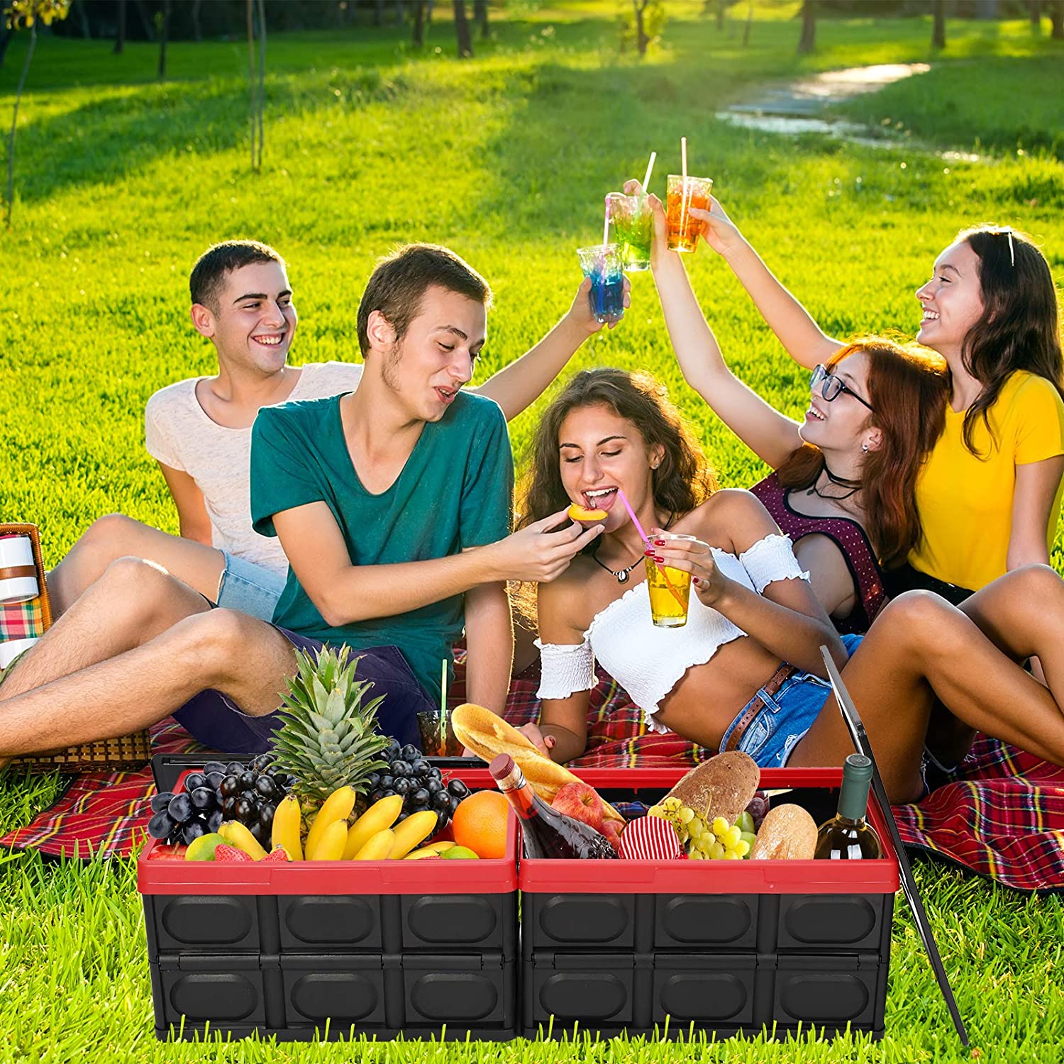 Lidded Collapsible Storage Crates, 30L - Image 6